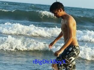 1BigDickBoyX