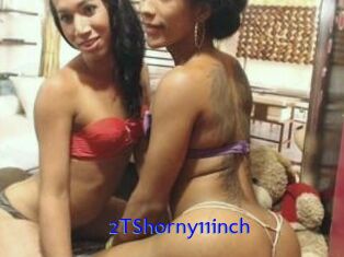2TShorny11inch