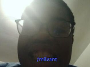 7mileant