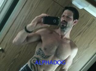 ALPHADOG