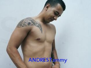 ANDRESTammy