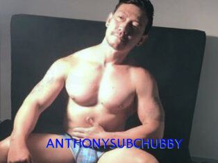 ANTHONYSUBCHUBBY