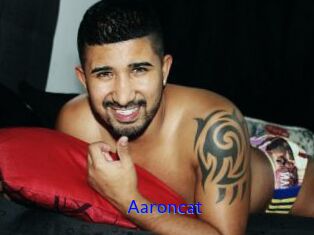 Aaroncat