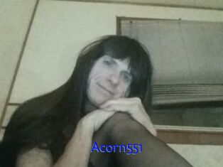Acorn551