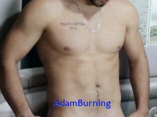 AdamBurning