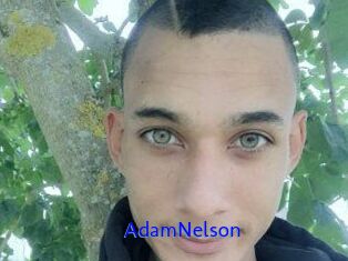 Adam_Nelson