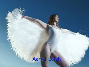 Aerial_Leigh