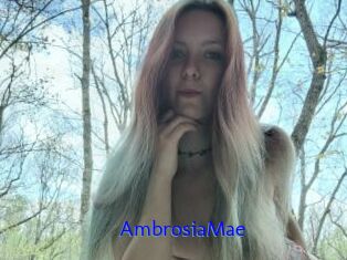 AmbrosiaMae