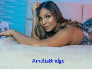 AmeliaBridge