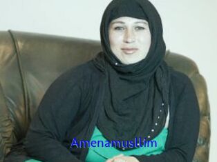 Amenamusllim