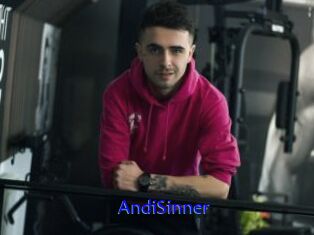 AndiSinner