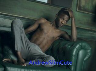 AndrewSlimCute