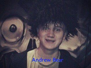 Andrew_Bear
