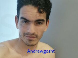 Andrewgosht