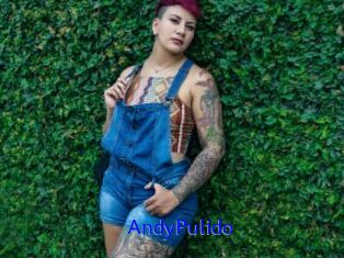 AndyPulido