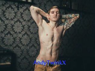AndyTwinkX