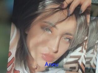 Aneu