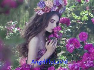 AngelFlyLaVid