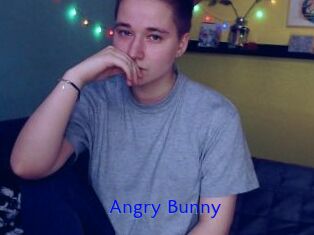 Angry_Bunny