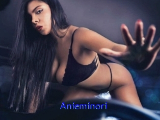 Anieminori