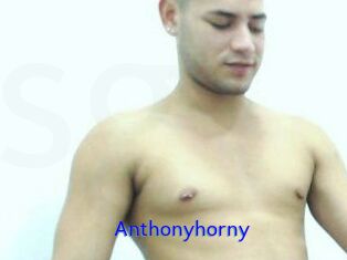 Anthonyhorny