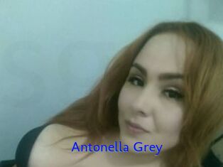 Antonella_Grey