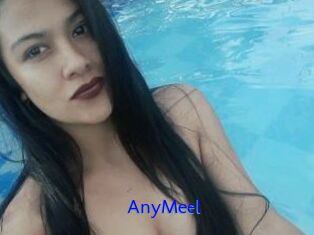 AnyMeel