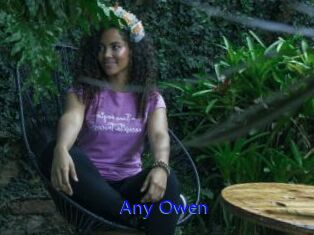 Any_Owen