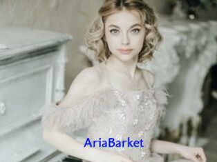 AriaBarket