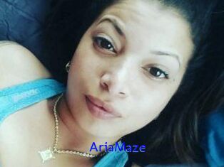 Aria_Maze