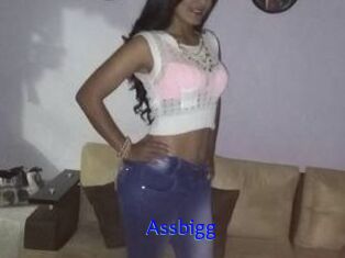 Assbigg