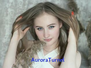 AuroraTurnel