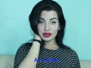 AzaleaBean