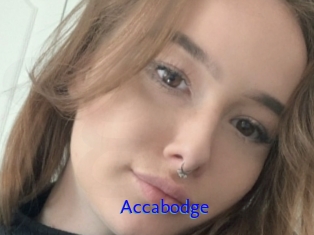 Accabodge