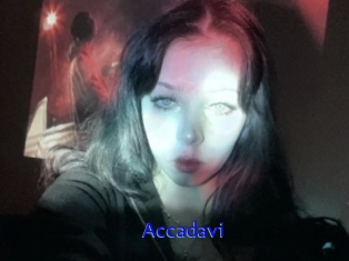 Accadavi