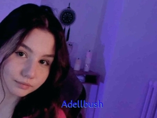Adellbush