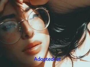 Adoptedcat