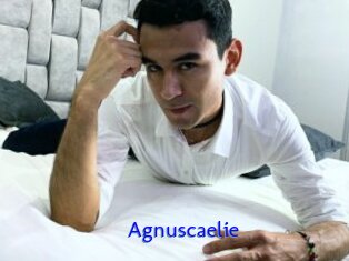 Agnuscaelie