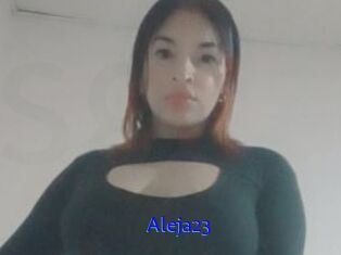 Aleja23
