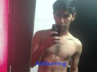 Alejburning