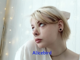 Alicebird