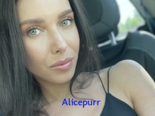 Alicepurr