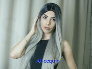 Alicequin