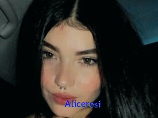Alicerosi