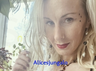 Alicesjungalo