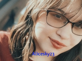Alicesky23