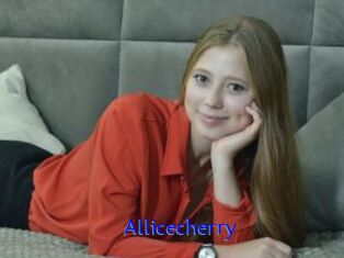 Allicecherry