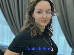 Aminaholms