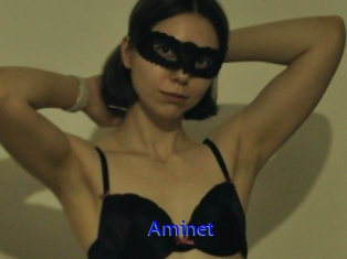 Aminet