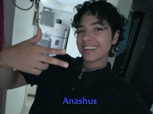 Anashus